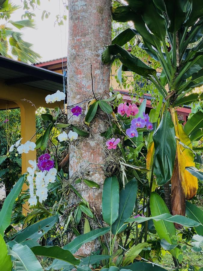 A Piece Of Paradise San Carlos Exterior foto