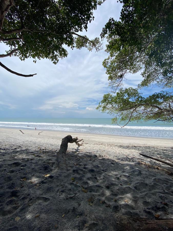 A Piece Of Paradise San Carlos Exterior foto