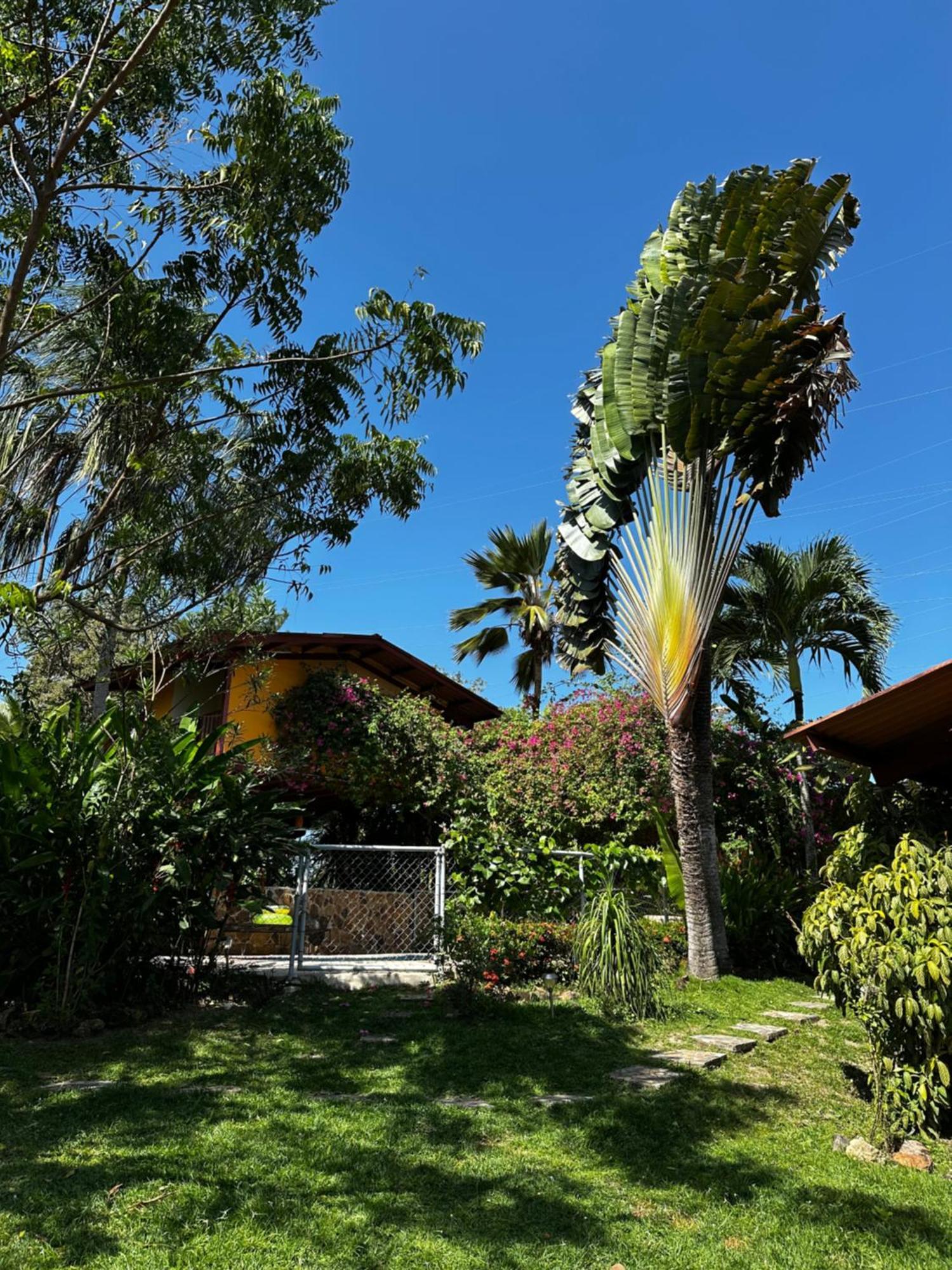 A Piece Of Paradise San Carlos Exterior foto