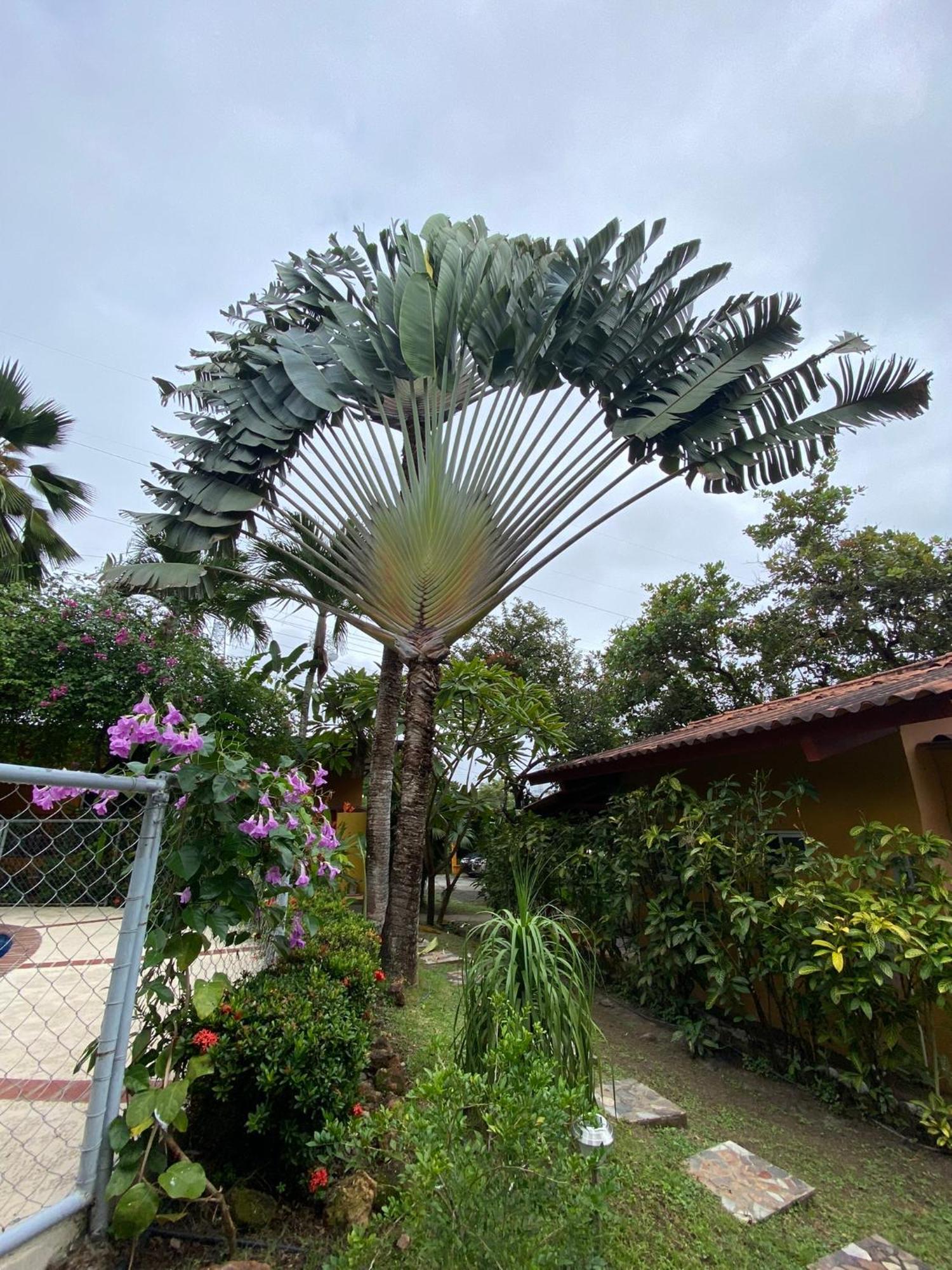 A Piece Of Paradise San Carlos Exterior foto